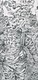 Abscission (detail)