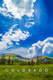 Colorado Poster 24"x36"