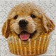 Pupcake
