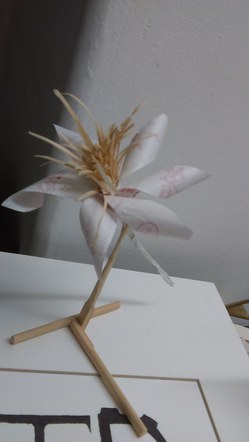 Chopstick Flower