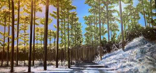 "Alabama Pines in Winter"