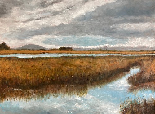 'Ashley River Estuary'