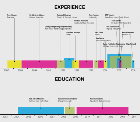 Work Experience Timeline