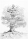 Yggdrasil, the World Tree
