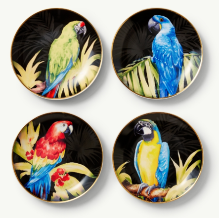 Macaw Series Plates