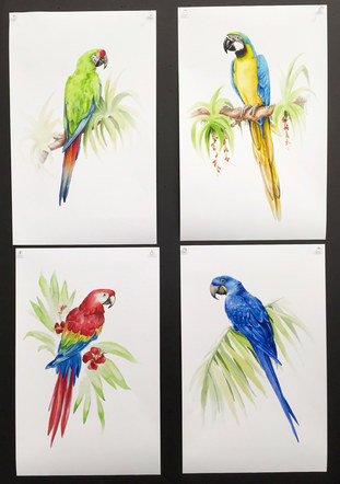 Hand Painted Macaws for Merchandising