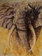 (Ref. W455)  Elephant III