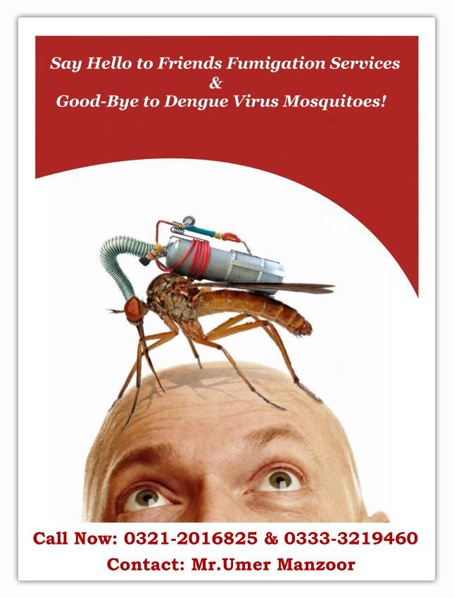 Mosquitoes Fumigation against Dengue Virus