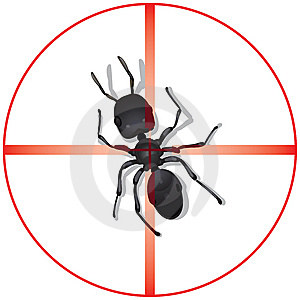 Ants Control - Friends Fumigation Services