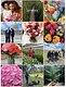 Colour Republic Flowers Instagram