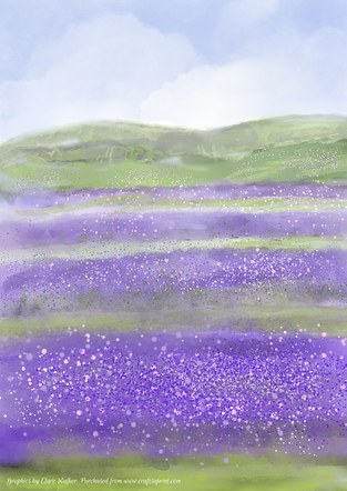Lavender Fields Illustrations