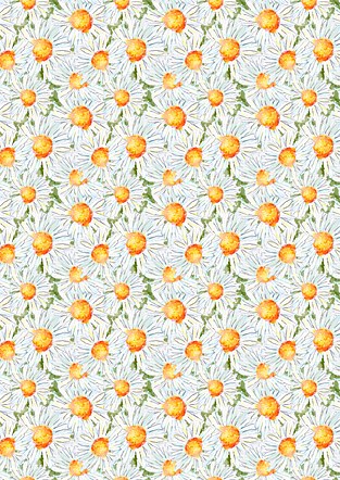 Field of Daisies Pattern