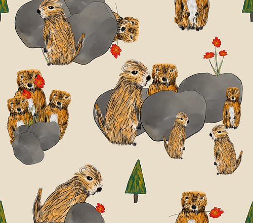 Cute 'N Quirky Marmots Pattern