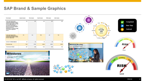 SAP samples 3