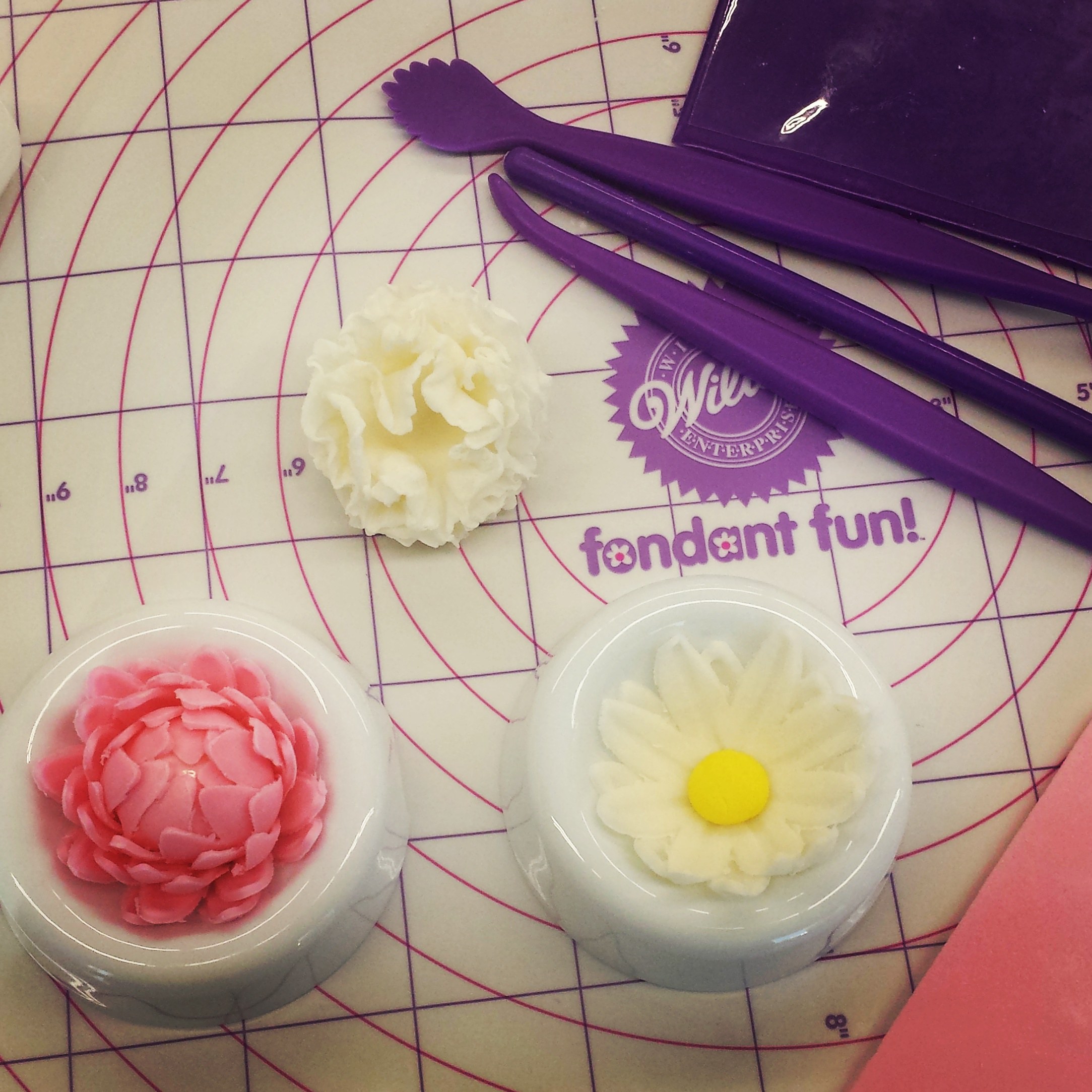 Fondant and Gum paste Sweet And Shy