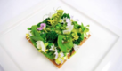 Pea mosaic, wild lettuce, rye tuille, and whipped ricotta