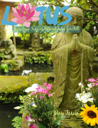 Lotus Magazine Cover