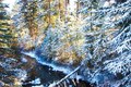 Winter in Banff