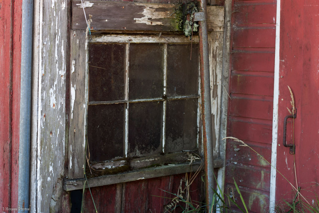 abandoned_barn_bothell-37