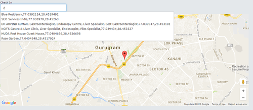 Search Location with pointer (Google Map)