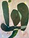 "Cactus Juggler"