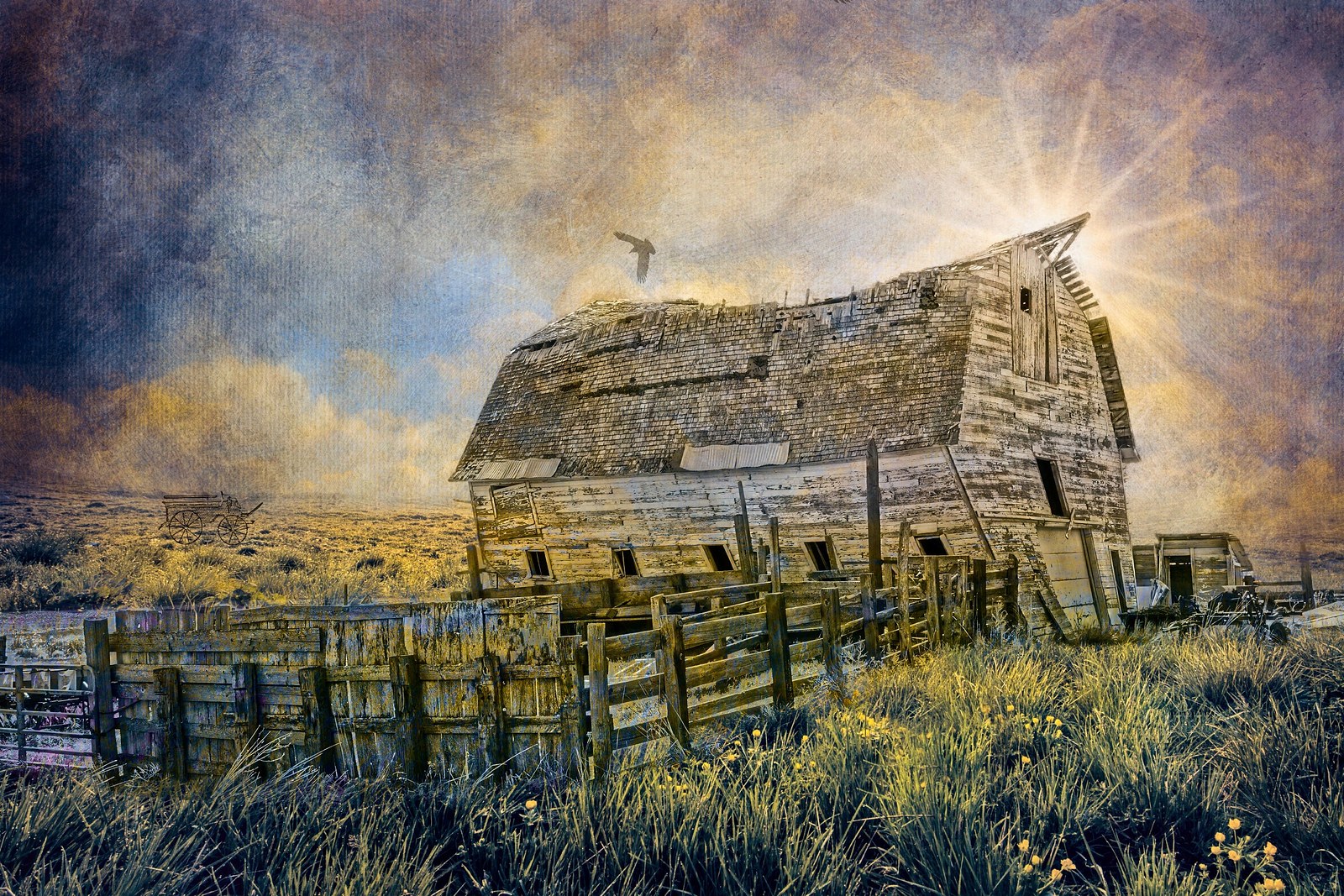 Remembering Life in the American West - Maureen Ravnik Photography