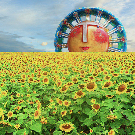 Sun over sunflower field