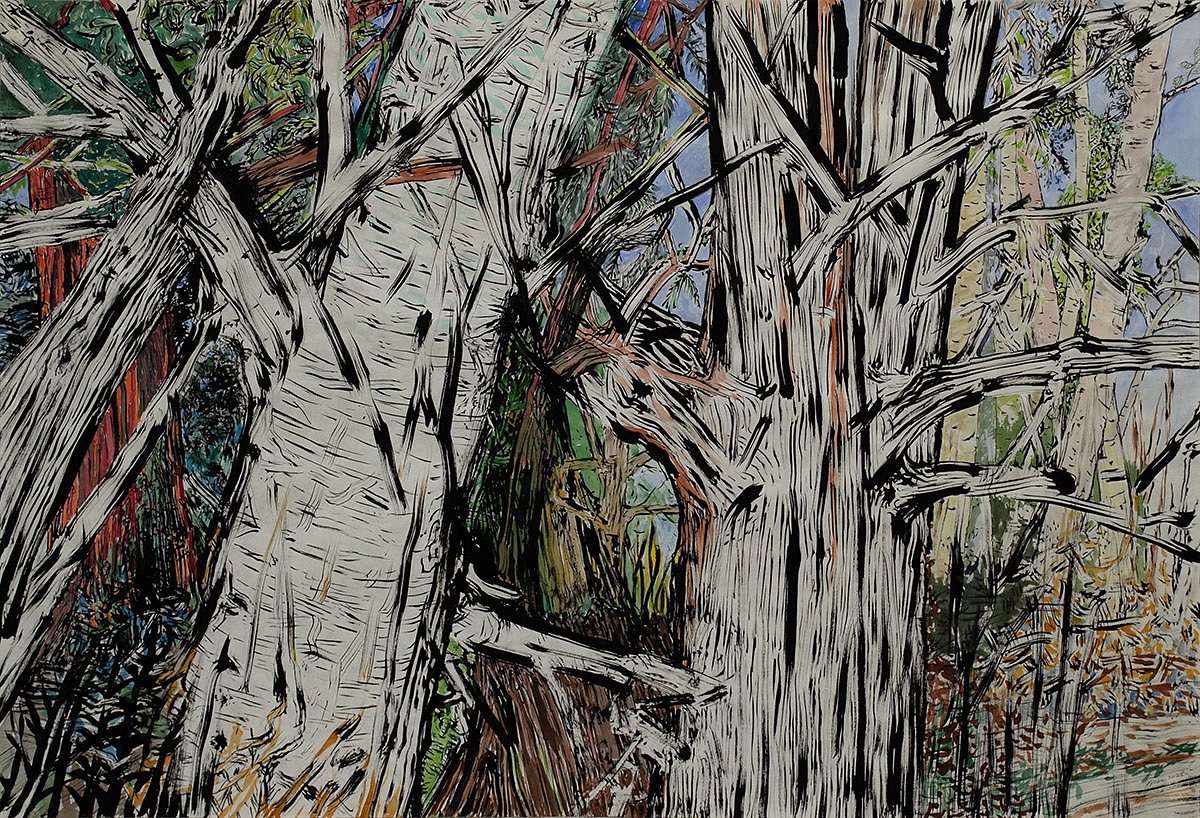 Aspens & Redwoods