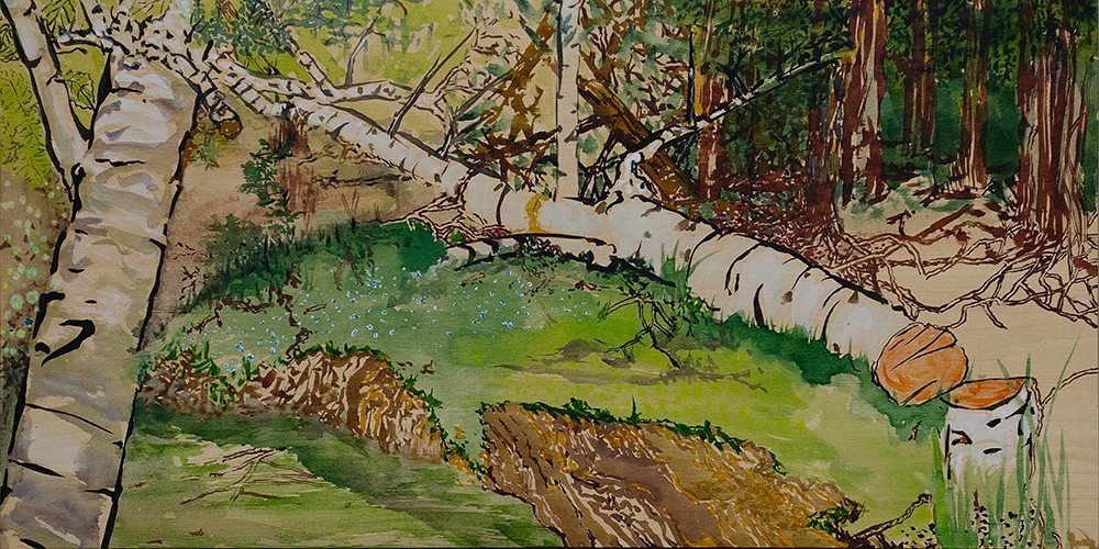 Fallen Populus