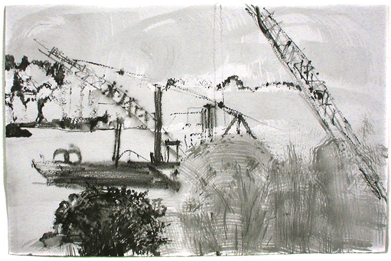 Cranes in the River