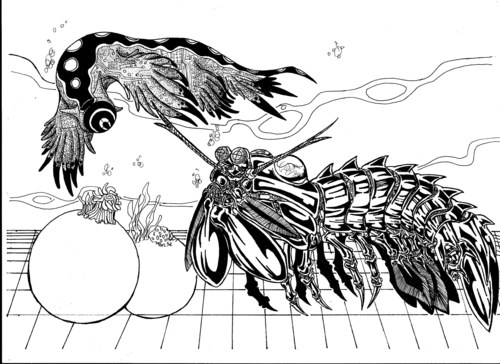 Sea Slug and Mantis Shrimp