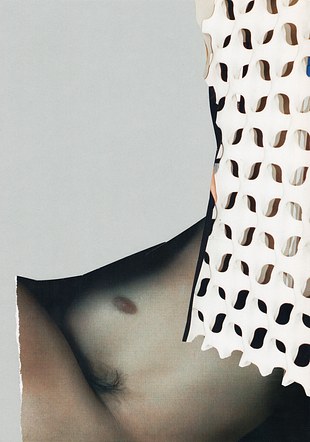 Torso. Synergies 008