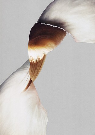 Synergies_010. 2023