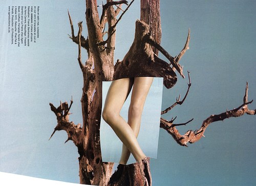 Branches I