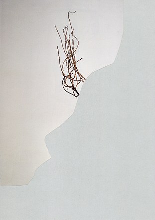 Traits 007 2023 A4