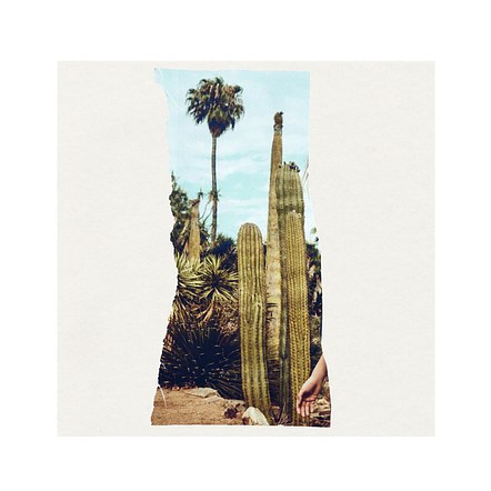 Cactus