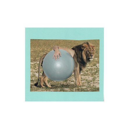 Lion with pilates ball