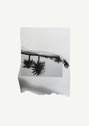 Arm with palm trees. 2019