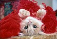 20170625225130-4639598-tan-persian-kitten-playing-with-yarn