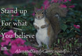 Fox SQuirrel Stand up for what you Believe In