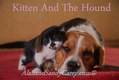 Kitten and the hound