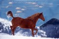 Running Arabian Horse In winter Montana...