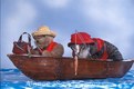 Tabby Cat and Teddy Bear in Fishing Boat 
