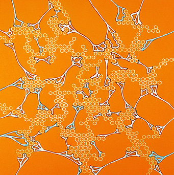 Hive and Web on Orange