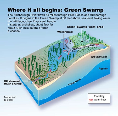 Where it all begins: Green Swamp