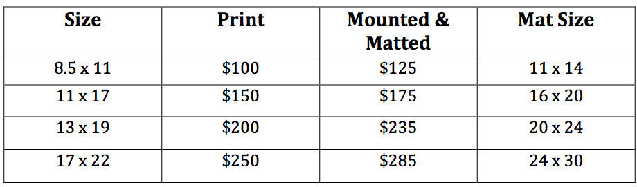 Pricing Chart