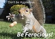 Be Ferocious
