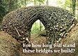 These Bridges We Build