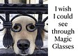 Through Magic Glasses