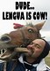 Lengua is Cow